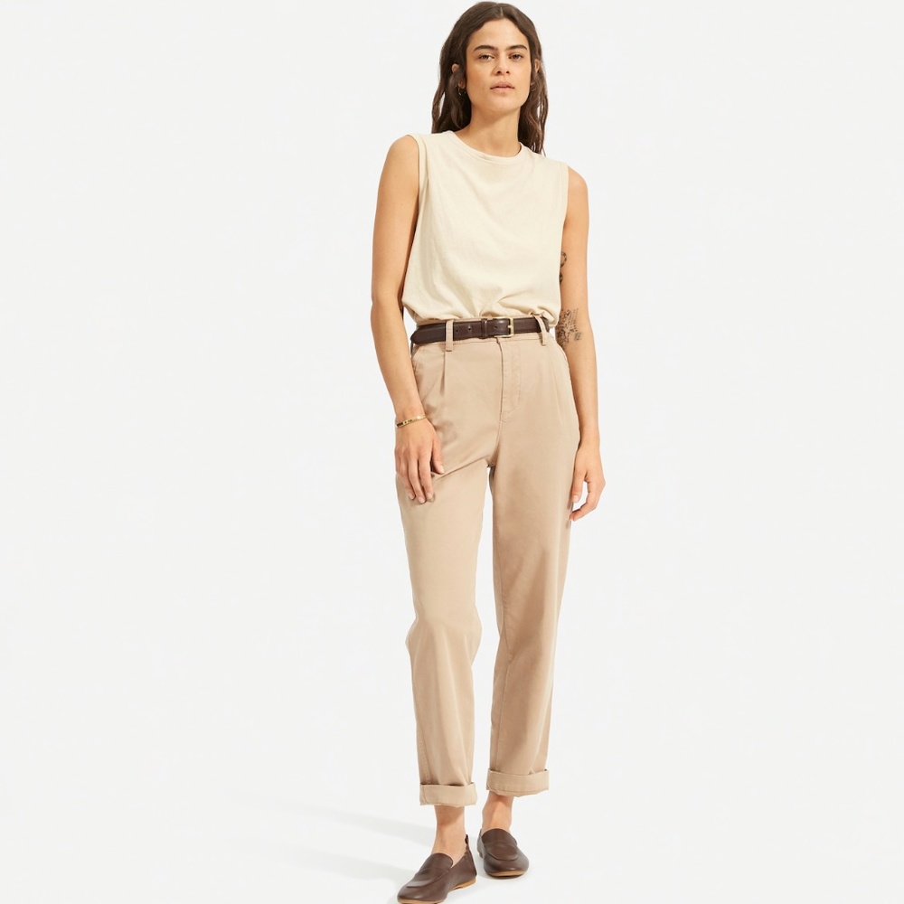 Everlane Pleated Chino